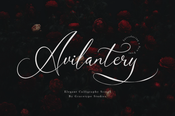 Avilantery: An Elegant Calligraphy Script for Editorial Design