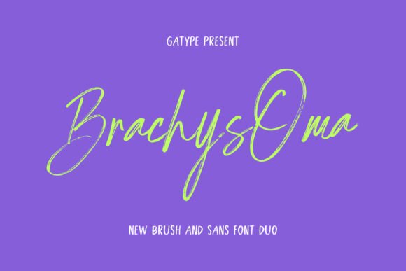 Brachys Oma: A Handwritten Font for Modern Campaigns