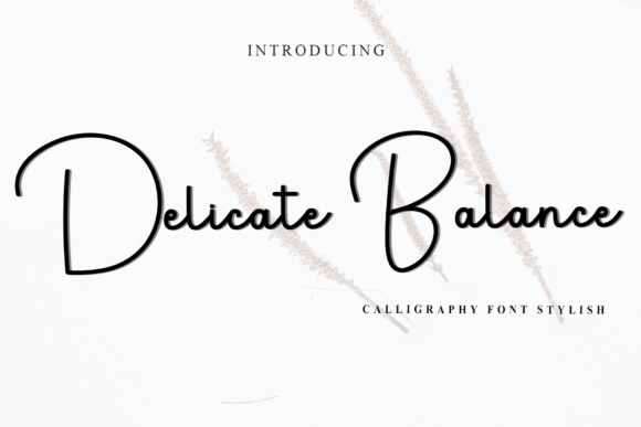 Delicate Balance: A Soft Script Font for Makers