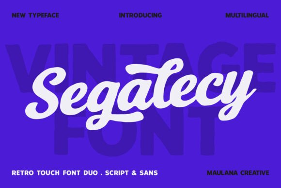 Segalecy: The Retro Font Duo for Small Business Branding