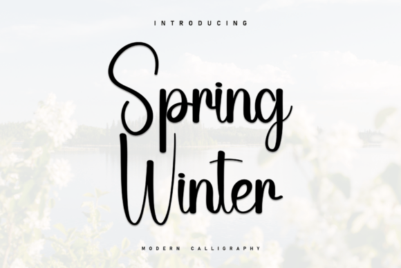 Spring Winter: A Handwritten Font for Campaigns